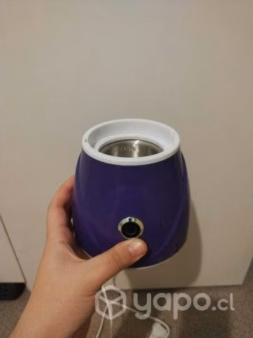 Vaporizador facial