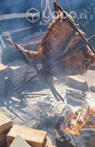 Asador patagonico
