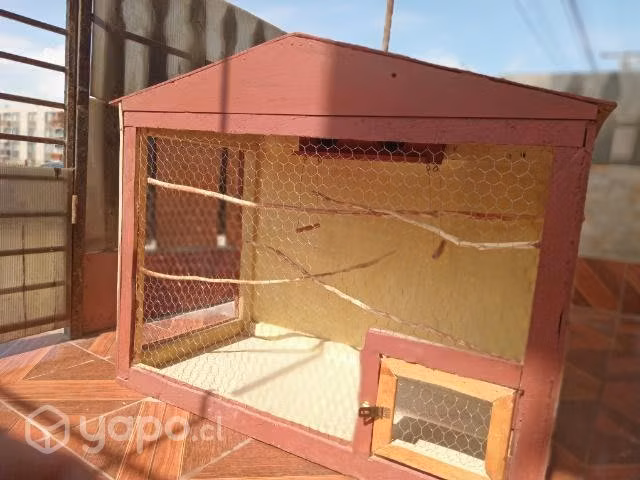 Lindas jaulas nuevas