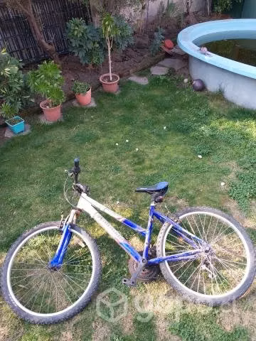 Bicicleta Altitude - Imagen 2