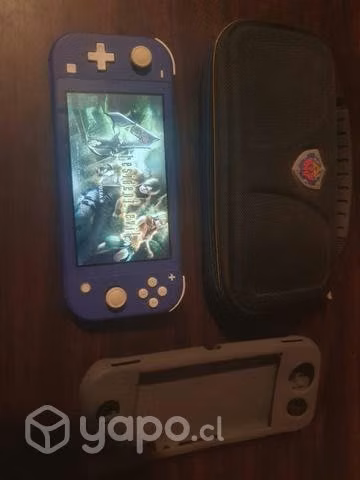 Nintendo switch lite