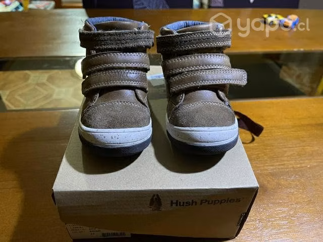 Zapato Niño