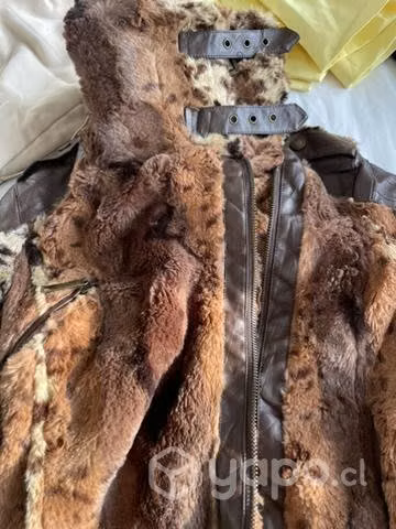 Chaquetas, blazer, camisa pantalones