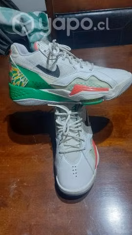 Zapatillas jordan zoom originales