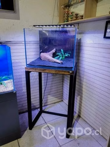 Acuario con Mueble