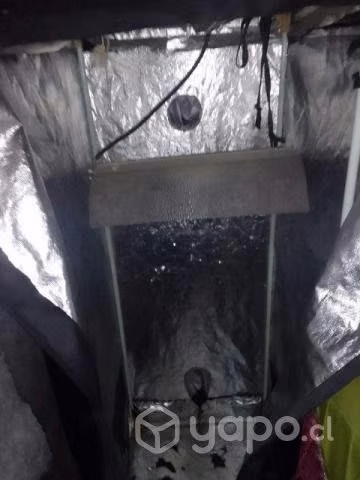 Indoor 60x60x1.60