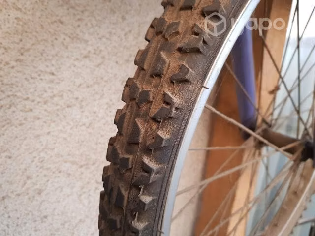 Bicicleta mujer