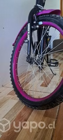 Bicicleta - Imagen 2
