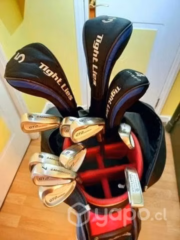 Juego de palos de golf