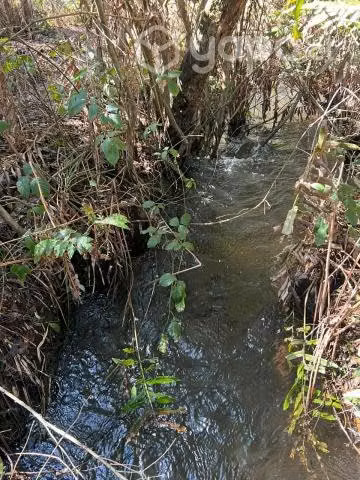 Campo Vilcun