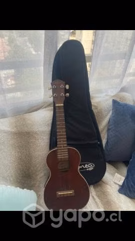 Ukelele con funda
