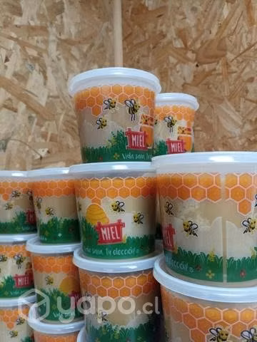 MIEL de abeja - Imagen 2