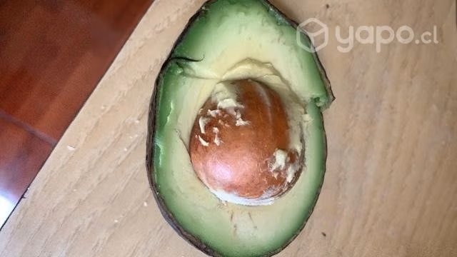 Palta y limones