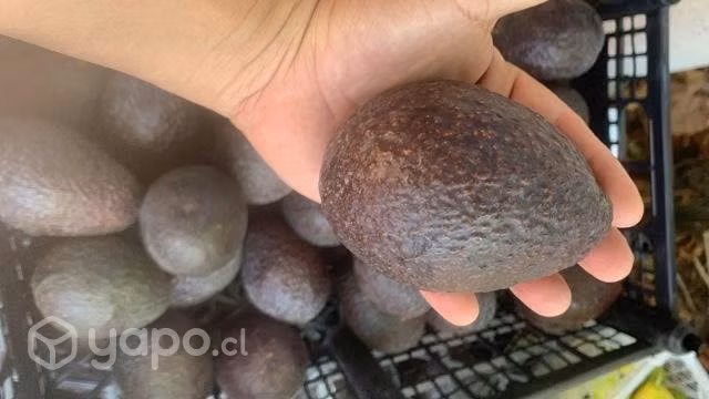 Palta y limones