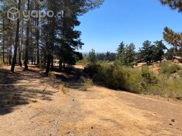 Sitio 5000m Condominio Pinares Norte De Algarrobo