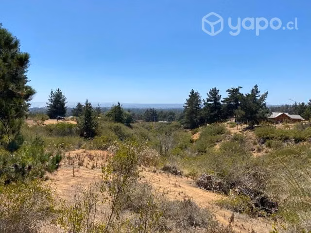 Sitio 5000m Condominio Pinares Norte De Algarrobo