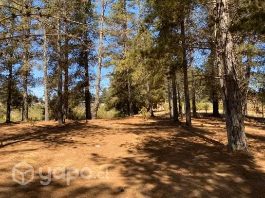 Sitio 5000m Condominio Pinares Norte De Algarrobo