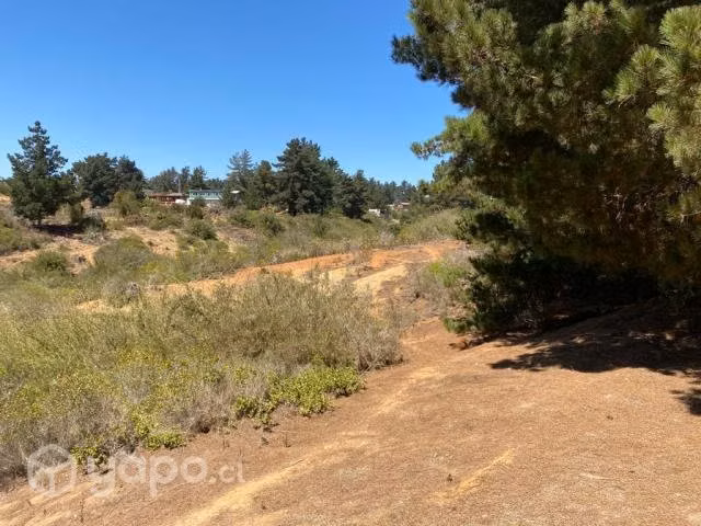 Sitio 5000m Condominio Pinares Norte De Algarrobo