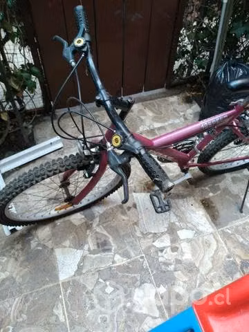 Bicicleta vargas aro 24 - Imagen 3