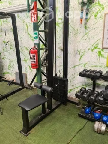 Polea alta de espalda 100kg - Imagen 2