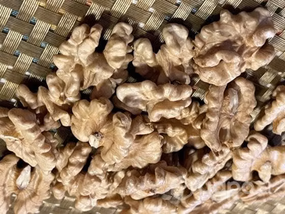 Nueces del año Chandler