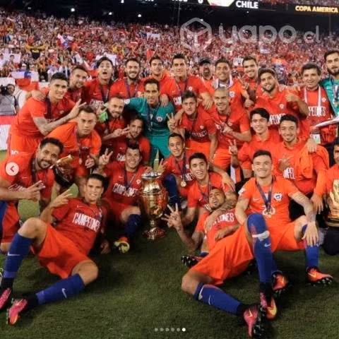Album + 50 sobres de láminas El Campeón de América