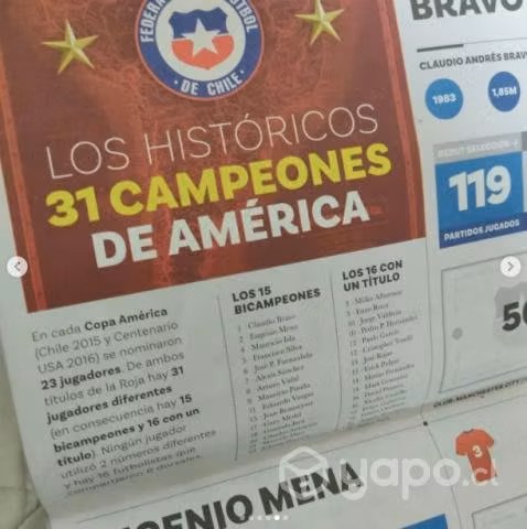 Album + 50 sobres de láminas El Campeón de América