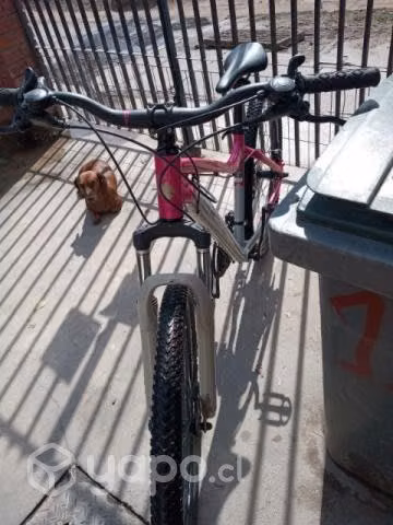 Bicicleta impecable - Imagen 5