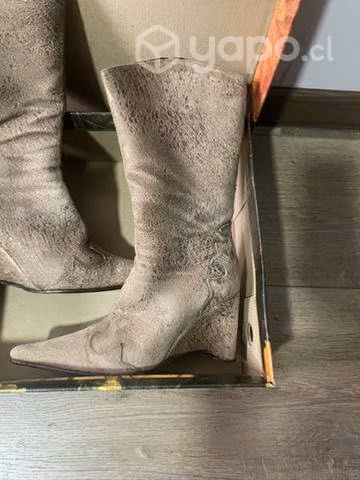 Bota Zappa