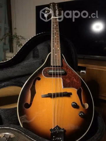 Mandolina Ibanez M510E/con estuche