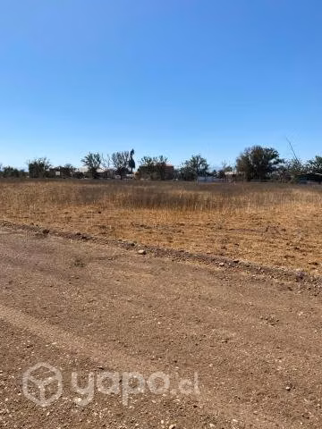 Se venden parcelas en Los Nogales (Ovalle) - Imagen 9