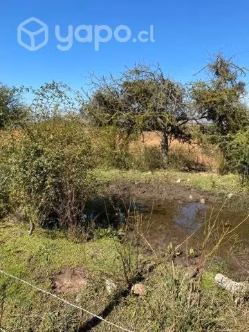 Se venden parcelas en Los Nogales (Ovalle) - Imagen 4