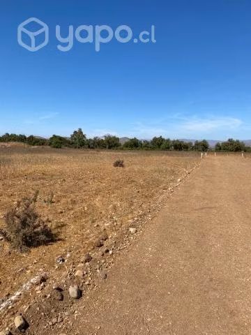 Se venden parcelas en Los Nogales (Ovalle) - Imagen 6