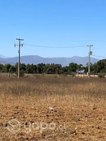 Se venden parcelas en Los Nogales (Ovalle) - Imagen 5