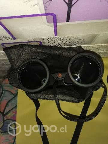 Binoculares celestron