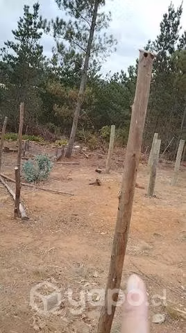 Sitio en laguna verde - Imagen 4
