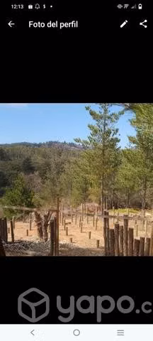 Sitio en laguna verde - Imagen 6