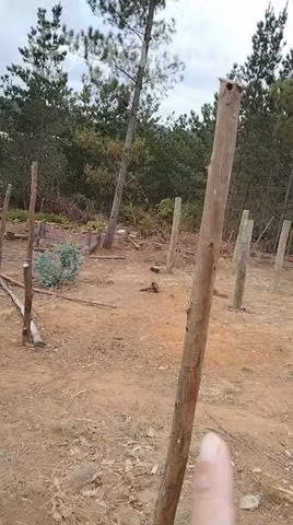 Sitio en laguna verde - Imagen 3