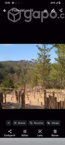 Sitio en laguna verde - Imagen 5