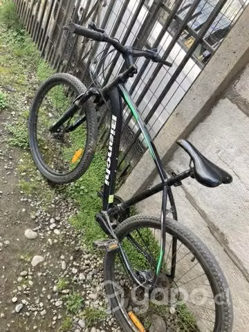 Bianchi Doble disco