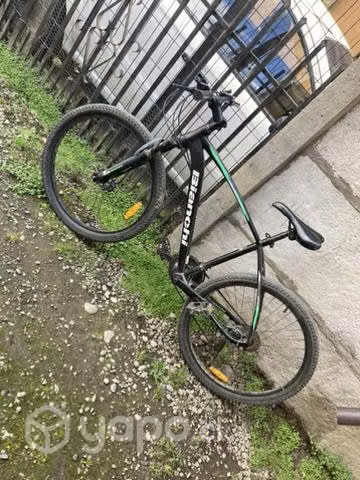 Bianchi Doble disco
