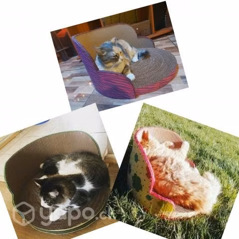 Rascadores para Gatos