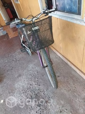 Bicicleta oxford - Imagen 2