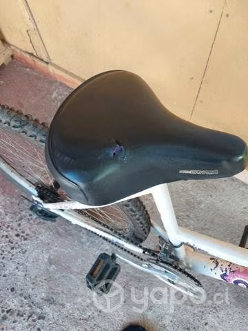 Bicicleta oxford - Imagen 3