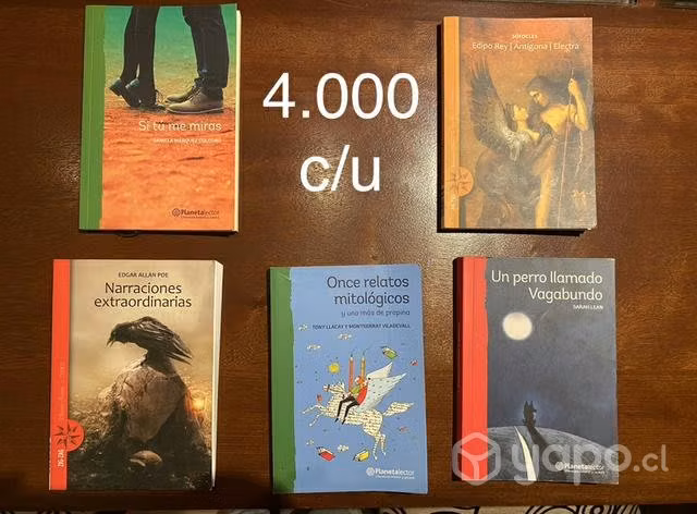 Libros lectura Escolar