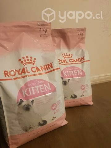Comida para gatito no esterilizado hastalos12meses