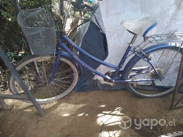 Bicicleta paseo aro 26 Dama