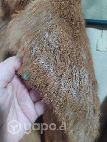 Chaqueta CRIEX - Imagen 2