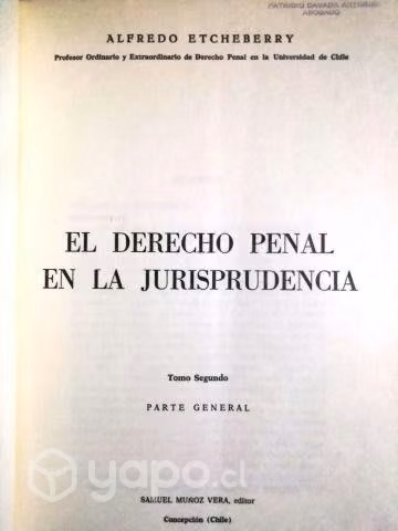 El Derecho Penal En La Jurisprudencia