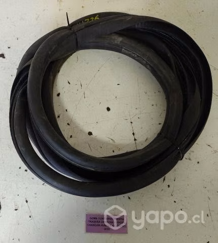Goma Contorno Puerta Trasera Derecha (CHH226) Chan